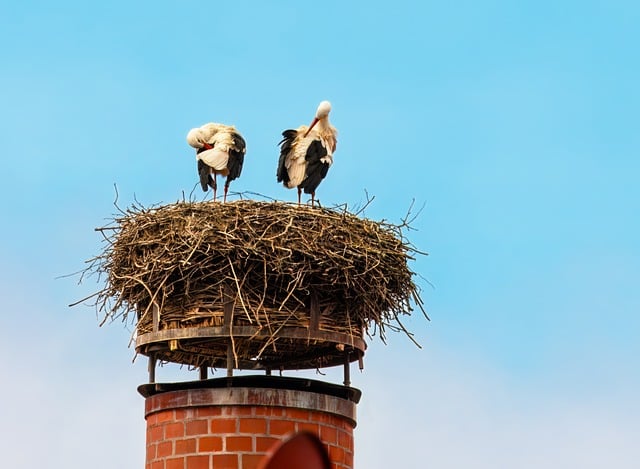 Installatie en veiligheidsmaatregelen voor exclusieve schoorstenen